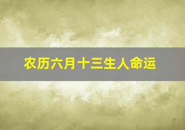 农历六月十三生人命运