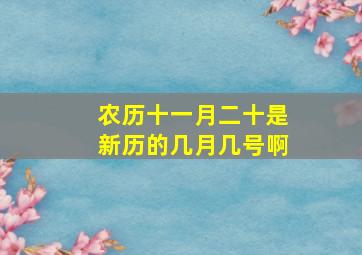 农历十一月二十是新历的几月几号啊