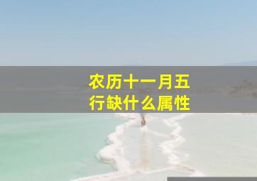 农历十一月五行缺什么属性