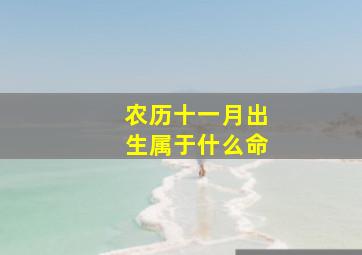 农历十一月出生属于什么命