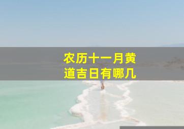 农历十一月黄道吉日有哪几