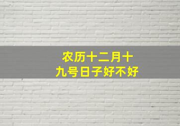 农历十二月十九号日子好不好