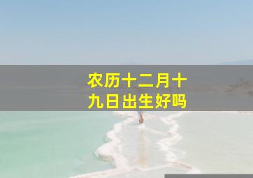 农历十二月十九日出生好吗