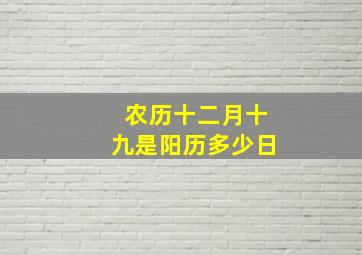 农历十二月十九是阳历多少日