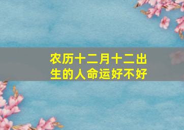 农历十二月十二出生的人命运好不好