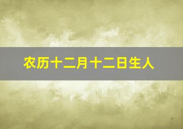 农历十二月十二日生人