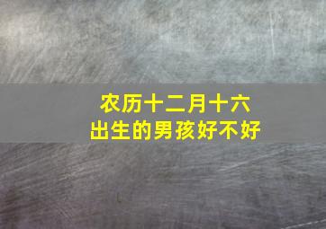 农历十二月十六出生的男孩好不好