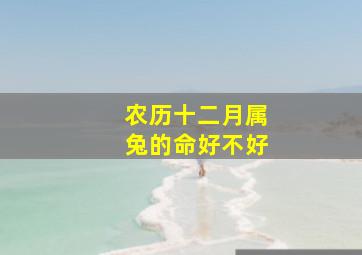 农历十二月属兔的命好不好