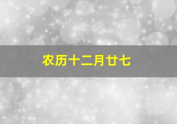 农历十二月廿七