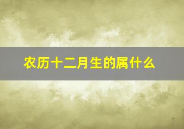 农历十二月生的属什么