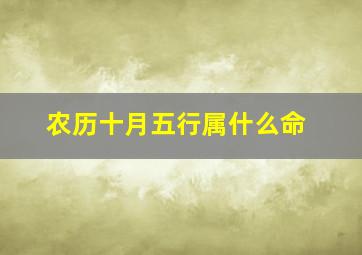 农历十月五行属什么命