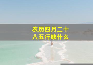 农历四月二十八五行缺什么