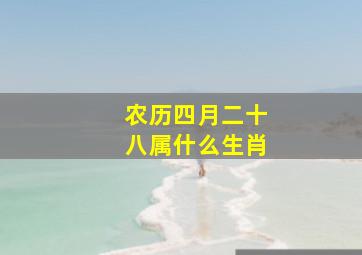 农历四月二十八属什么生肖