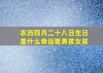 农历四月二十八日生日是什么命运呢男孩女孩