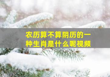 农历算不算阴历的一种生肖是什么呢视频