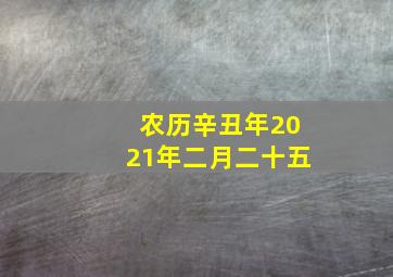 农历辛丑年2021年二月二十五