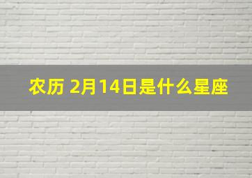 农历 2月14日是什么星座