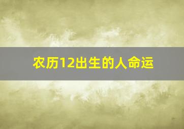 农历12出生的人命运