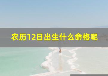 农历12日出生什么命格呢