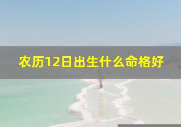 农历12日出生什么命格好