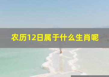 农历12日属于什么生肖呢