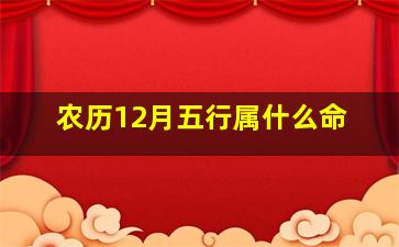 农历12月五行属什么命