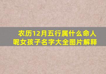 农历12月五行属什么命人呢女孩子名字大全图片解释