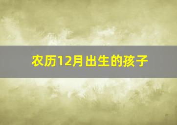 农历12月出生的孩子