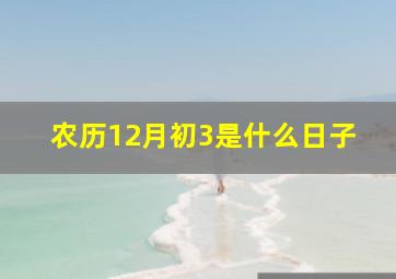 农历12月初3是什么日子