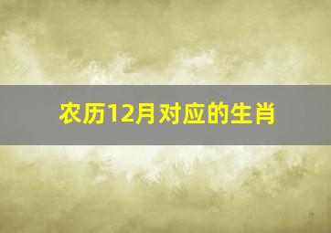 农历12月对应的生肖