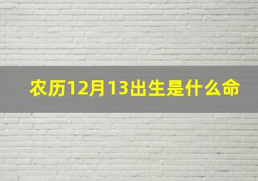 农历12月13出生是什么命