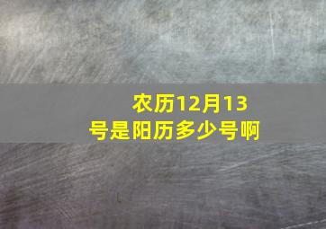 农历12月13号是阳历多少号啊