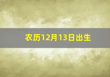 农历12月13日出生