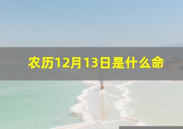 农历12月13日是什么命