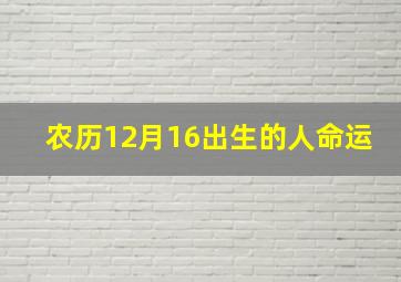 农历12月16出生的人命运