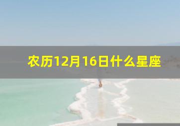 农历12月16日什么星座