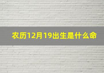 农历12月19出生是什么命