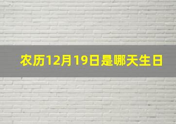 农历12月19日是哪天生日