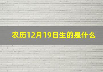 农历12月19日生的是什么