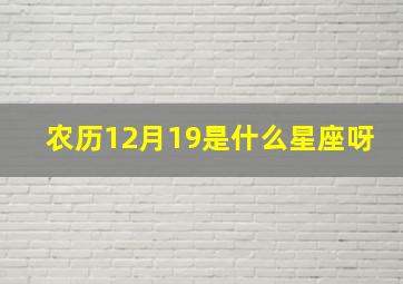 农历12月19是什么星座呀