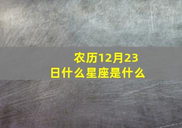 农历12月23日什么星座是什么