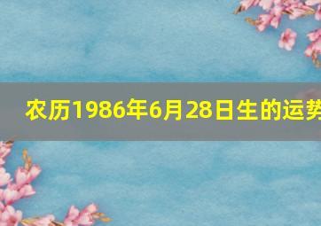 农历1986年6月28日生的运势