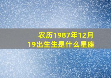 农历1987年12月19出生生是什么星座