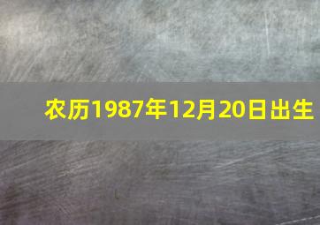 农历1987年12月20日出生