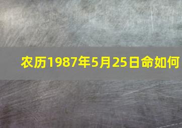 农历1987年5月25日命如何