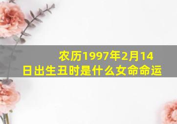 农历1997年2月14日出生丑时是什么女命命运