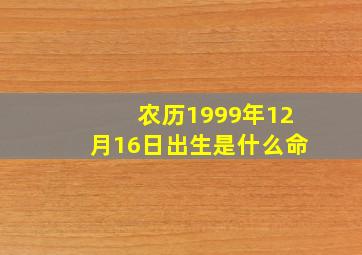 农历1999年12月16日出生是什么命