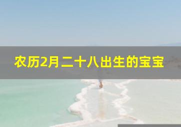 农历2月二十八出生的宝宝