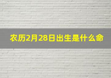 农历2月28日出生是什么命