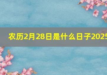 农历2月28日是什么日子2025